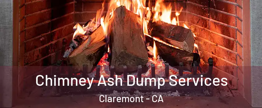  Chimney Ash Dump Services Claremont - CA